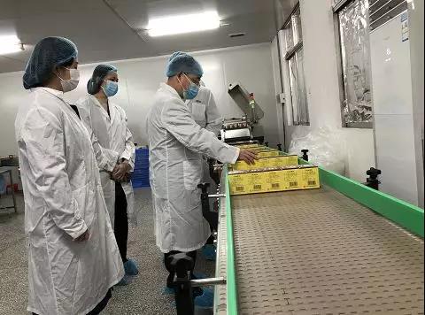同心抗疫，，，确保质量！腾博会官网公司振隆厂外车间接受广药集团生产监视包管小组事情督导