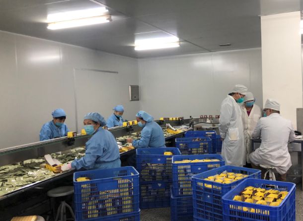 【初心如磐，，，使命在肩】腾博会官网第三党支部组织员工提前复工包管生产