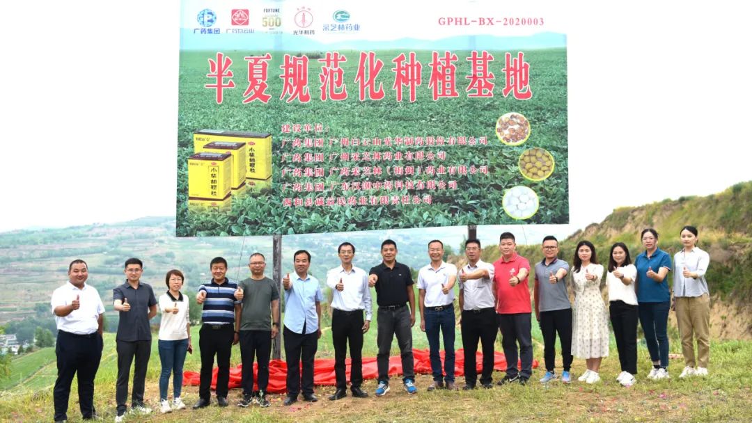 白云山腾博会官网公司实地考察调研中药材规范化基地